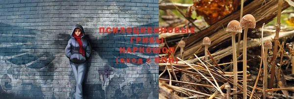 кокаин колумбия Коряжма