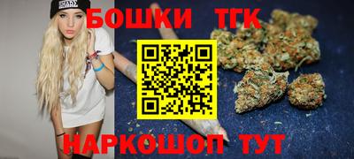 стаф Славгород