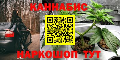 стаф Славгород