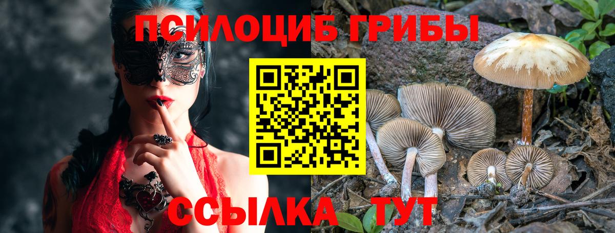 Галлюциногенные грибы Magic Shrooms Азов
